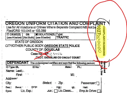 美国各大城市常见的违章停车罚单 (Parking Ticket) 颜色区分：黄色、粉色市政罚单实拍