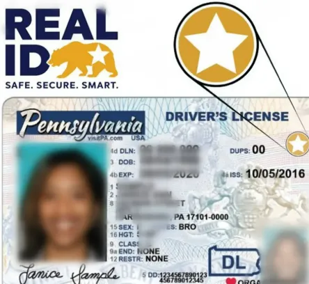 最新版德克萨斯州 (Texas) 真实身份驾照 (REAL ID) 右上角金色星标图解